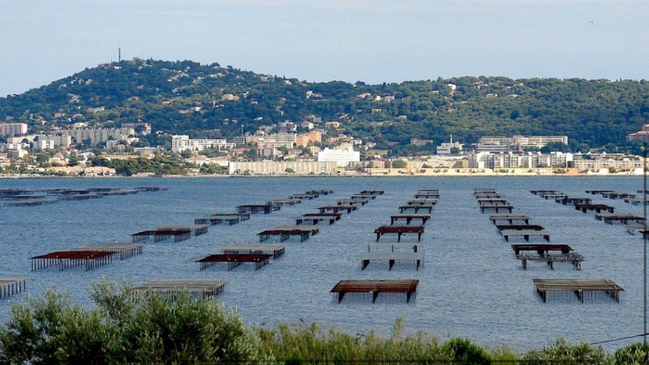 Sublime T2 Tout Confort A Sète Kültér fotó